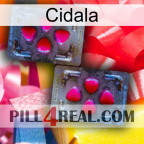 Cidala 15